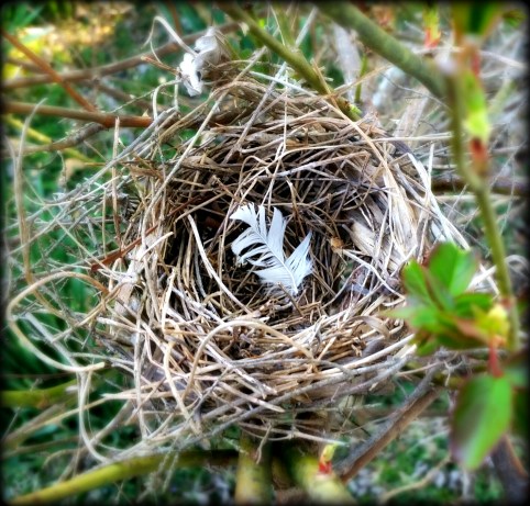 emptynest1